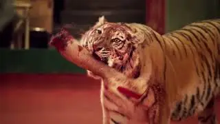 i put circus playhouse music over a russian circus disaster