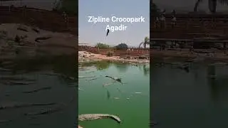 Crocopark Zipline Agadir #Agadir