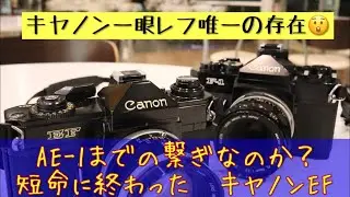 【フイルムカメラ】キヤノン一眼レフ唯一の存在！キヤノンEFとはどんなカメラ？ #コパルスクエア  #FDレンズ #シャッター速度優先AE #一眼レフカメラ #PAUL&REINHOLD #Rollei
