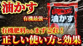 【油かす】有機肥料ならまずコレ！オススメ使い方や効果について科学的に解説します