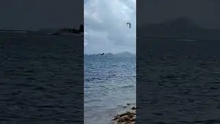 Kitesurfing in Clifton Harbour, Union Island