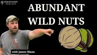 Ancient Nuts: Hickory Nut Foraging and Wild Tending [Podcast]