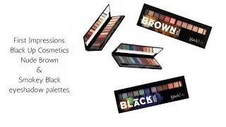 Full Face BlackUp Cosmetics ft. Smokey & Nude Brown Palettes