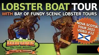 Lobster Boat Tour! - With Bay of Fundy Scenic Lobster Tours in Nova Scotia