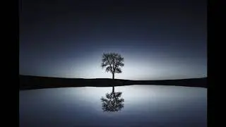 Soniferous - Light
