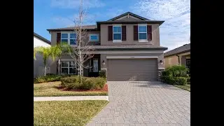 19427 Redwood Point Drive Tampa, FL | ColdwellBankerHomes.com