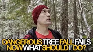 Dangerous Tree Fall Fails- Now what Should I Do?!