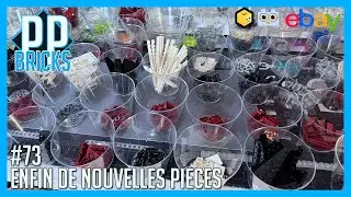 (FR) ENFIN DE NOUVELLES PIECES  - Vendeur LEGO Bricklink/Brick Owl/Ebay - Episode #73