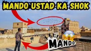 Monday 26/Janu/26. Mando Ustad❤️‍🔥Ka Shok😱.|bird's vlog| Liaquatabad Pigeons Official 