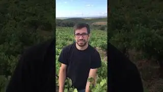 Maxime S&eacute;cher, Vigneron Domaine Montgros nous parle du mill&eacute;sime 2017