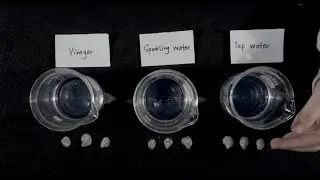 Ocean Acidification for Everyone