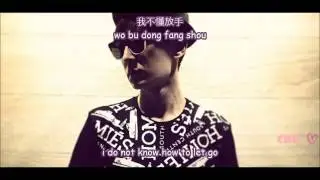 Aaron Yan - The unwanted love [english sub + chinese + pinyin]