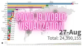 Covid-19 Pandemic Worldwide Confirmed Cases Visualization (Aug 2020)