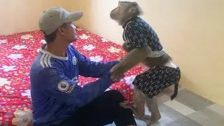 Jason Amused Persuade Dad To Sit Sill Let Him Care