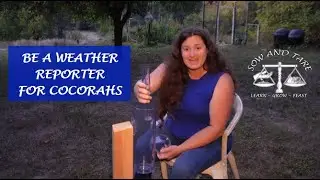 Be a Weather Reporter for CoCoRaHS