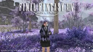 【FINAL FANTASY XIV】YIPPEE FAERIES!! ※spoiler warning