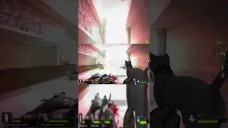 The Fish Is Doing What #left4dead2 #left4dead2funnymoments #left4dead2mods