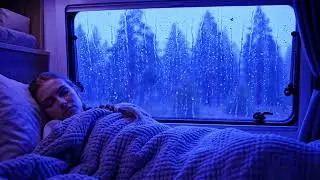 Cozy Van Window Rainstorm Ambience for Deep Relaxation and Natural Sleep Therapy