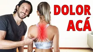 Ejercicios para aliviar el dolor entre los omóplatos !