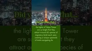Birds and Bright Lights: Tokyo Tower's Captivating Avian Spectacle