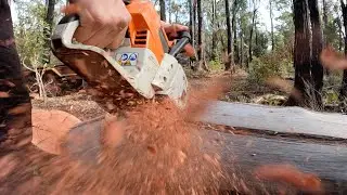 Wood chopping | Jarrah wood | Wood collection | Stihl chainsaw | Wood splitting | Chainsaws | Beer