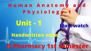 B.Pharmacy 1st semester HAP notes / Unit- 1 / Handwritten notes