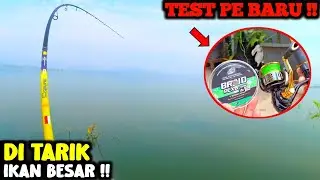 Test PE baru !! Malah ditarik ikan besar ! Senar PE murah dan kuat