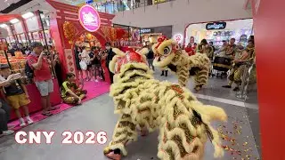 Nex Serangoon CNY 2026 Lion Dance Performance   - Teng Yang Dragon & Lion Dance Association 騰陽龍獅體育會