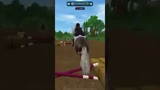 Mein t&auml;gliches Western Training #sso #horse #starstableonline ￼