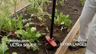 GARDEN43 GRIFFOIR GOLLDEN ROOT SLAYER