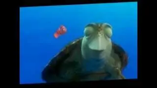 Crush the turtle, Finding Nemo