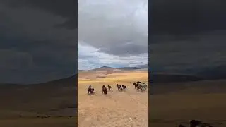 #spirit #horse #mongolia #russia
