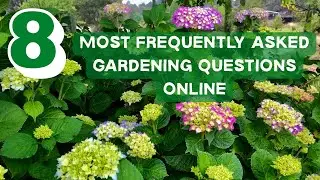 What Gardeners Search Most (And What You Should Know!)