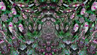 Puss in Boots (nickname for a cat) - SFS 112 #psychedelic #psychedelicfractal #fractal