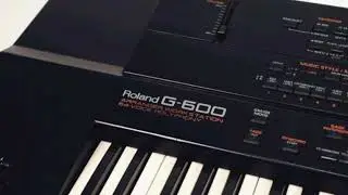 SAKARYA KASAP HAVASI ROLAND G600