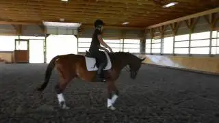 DSCN3879