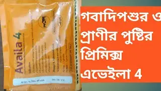 Availa 4 গবাদিপশুর  রোগক্রান্ত পশুকে দ্রুত সুস্ত করতে
