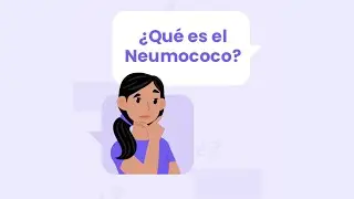&iquest;Qu&eacute; es el neumococo?
