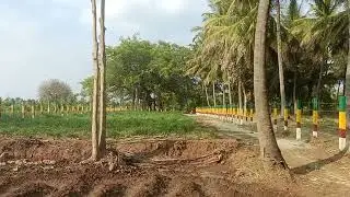 1.38 gunta land halgur per acre 1 cr well developed land 8660041198