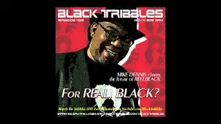 Reelblack Founder Mike D. on the Black Tribbles Podcast (2019)