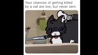 Ich bin eine Katze!!/Rain World/NoirCatto (The Stalker)