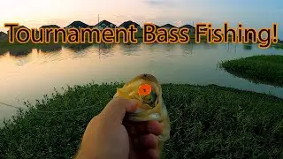 Week 1 of a Month Long BASS Tournament!