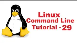Linux Command Line Tutorial For Beginners 29 - find command