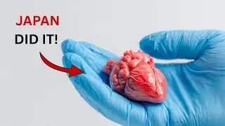 ORGAN Transplant? Not Needed Anymore! Japan Regrow Human Organs (2027)