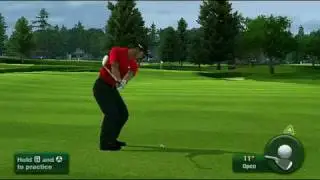 Tiger Woods PGA Tour 11 Review (Wii)