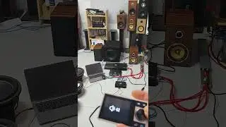 $1100 DIY 2.1 Phoenix audio, 12