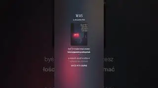 W115 52