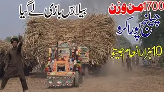 Well Done Belarus Tractor 510 Performance Trailer Pulling 1700 Man Ganna Lod Sugarcane System Punjab