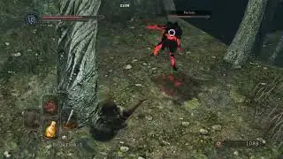 Dark Souls II 2026 01 22   21 10 07 02 DVR