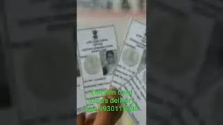 election Card hand's delivery free content 9930115495